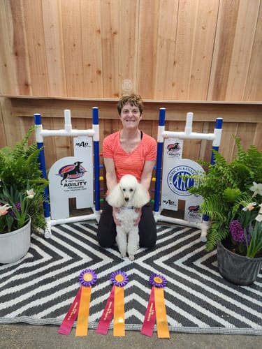 Customer photo review of 1-TDC Joint & Muscle Health Daily Supplement -2 Bottles (180 soft gels)