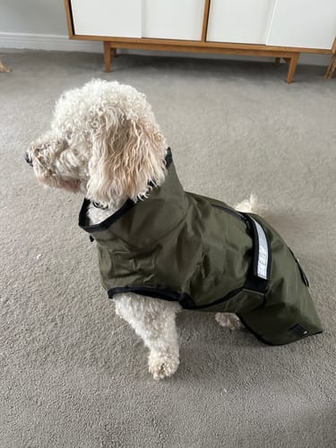 Customer photo review of 3-in-1 Dog Coat