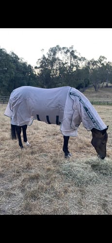 Customer photo review of Rambo Flybuster Vamoose NFZ