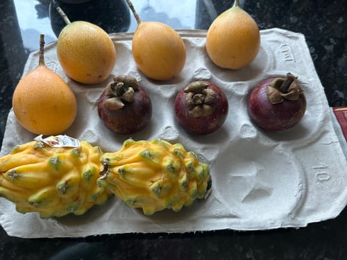Kunde zeigt die erhaltenen Früchte der 'Tropen Träumerei' Box: Granadilla, Mangostan und goldene Drachenfrucht.
