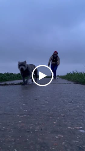 Customer video review of ProPulse® Power Vest (Active & Pro)