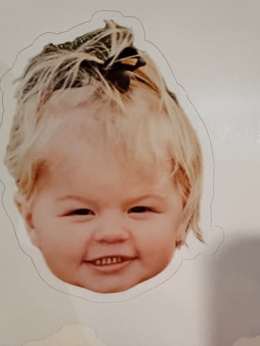 Customer photo review of Sticker Sheet