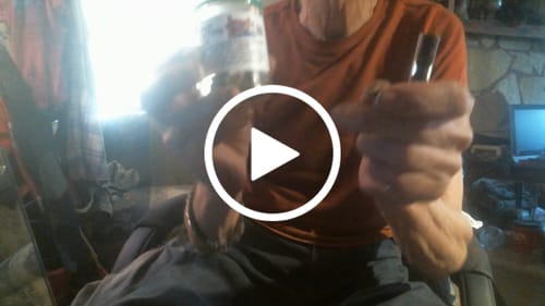 Customer video review of Super Menthol Haze THCa Flower 3.5g 🔴 Sativa