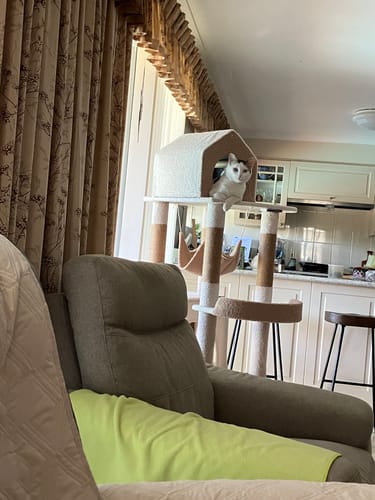 Customer photo review of Ona's Cottage Multi-Tier Cat Tree with Cat Scratching Posts