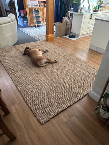 Customer photo review of Aerin Barker Natural Rug
