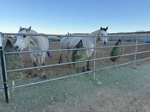 Customer photo review of 5 For $100 Deal