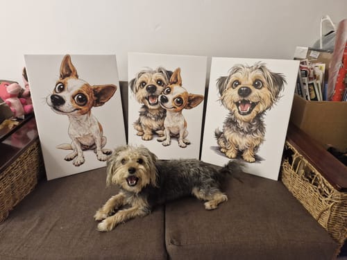 Customer photo review of 3 x A2 Canvas Combo