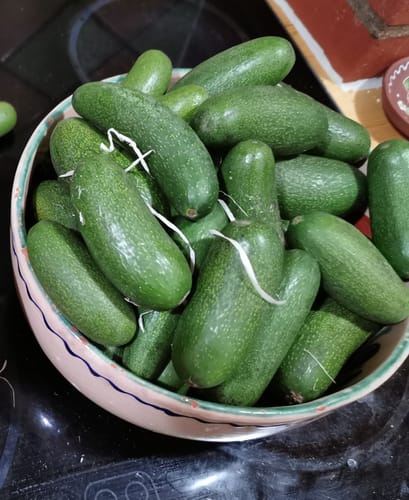 Ein Kunde zeigt eine Schüssel voller kleiner, grüner Avocado Cocktails.