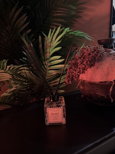 Recensent toont de Istanbul geurstokjes in een sfeervolle setting met planten op de achtergrond.
