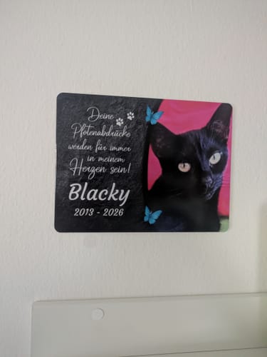 Customer photo review of Katzen Gedenktafel mit Foto & Spruch (UV- & Wetterfest)
