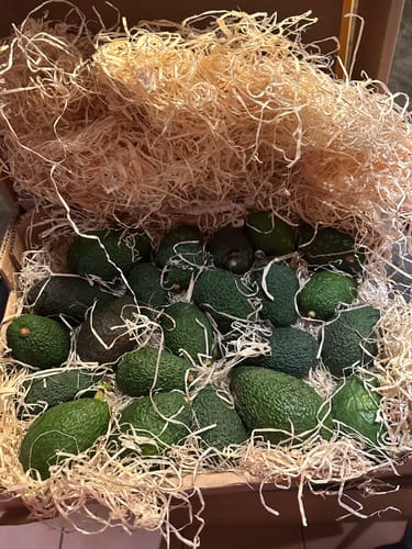 Kundenbewertung zeigt die Mini Bio Hass Avocados in der offenen Retterbox, sicher in Holzwolle verpackt.
