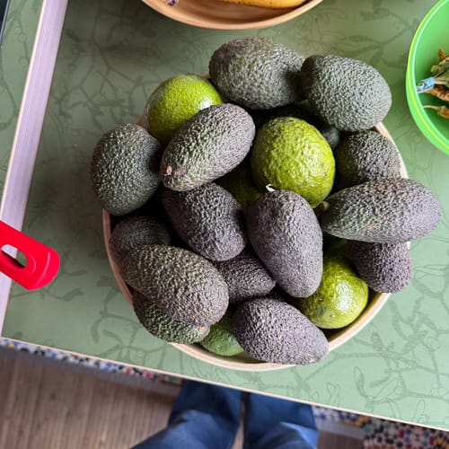 Kunde zeigt eine große Schüssel voller frischer, gemischtfarbiger Avocados auf einem Tisch.
