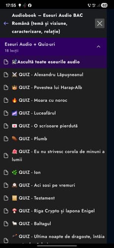 Recenzie cu fotografie de la un client despre Audiobook – Eseuri Audio BAC Română (temă și viziune, caracterizare, relație) + Quiz-uri