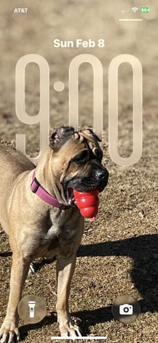 Customer photo review of Iron Paws Premium Dog Supplement