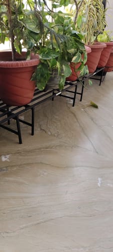 Customer photo review of TryGreen Hexa Metal Pot Stands for Planters