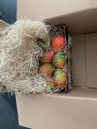 Ein Kunde zeigt die gelieferten Bio-Keitt-Mangos in einer Versandkiste, die mit Holzwolle gepolstert ist.