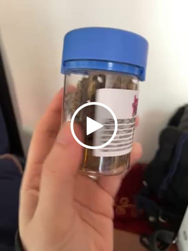 Customer video review of Lemon Cherry Gelato Exotic THCa Flower 10g Hybrid