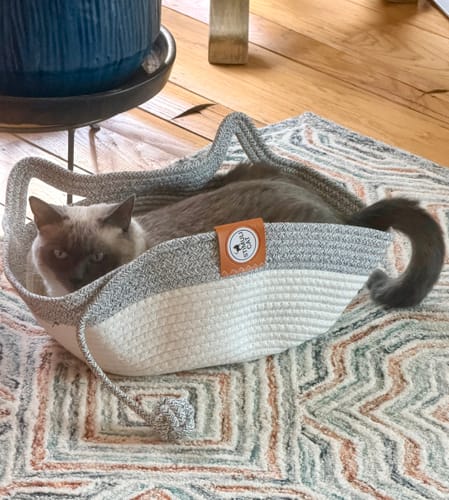Customer photo review of Instinct Basket | Meet the first research-backed natural territory for indoor cats