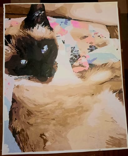 Customer photo review of Custom Pet Paint By Numbers