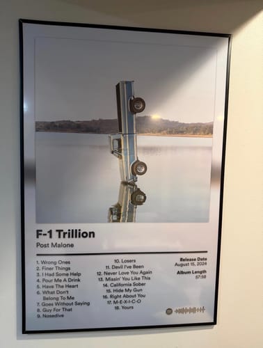 Customer photo review of Post Malone Album Posters