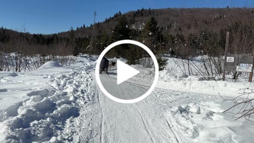 Customer video review of Frost Duralite® Leggings - Grape Harvest Melange