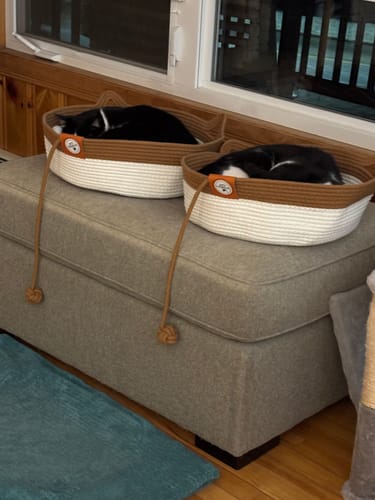 Customer photo review of Instinct Basket | Meet the first research-backed natural territory for indoor cats