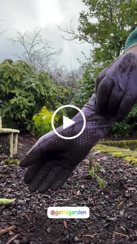 Customer video review of high rise gloves in haze