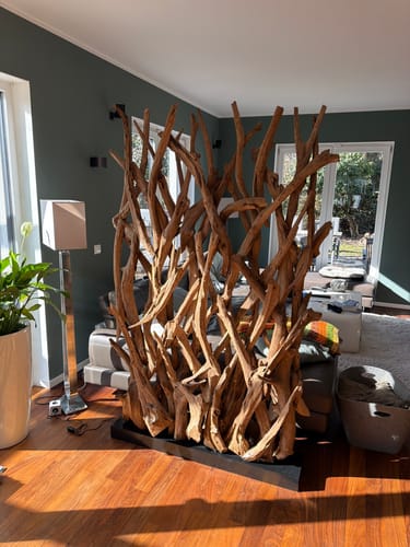 Kunde zeigt den wertigen Design Raumteiler BLUMA aus Treibholz, der in einem modernen Wohnzimmer steht.