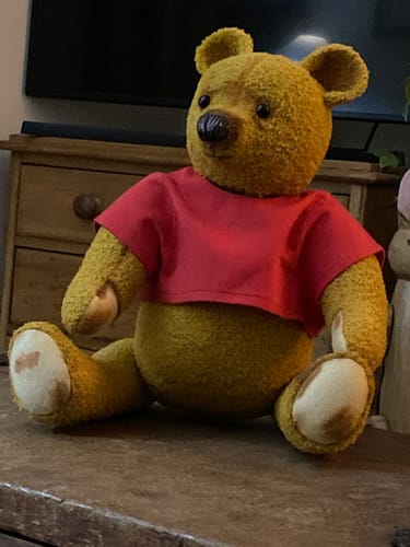 Customer photo review of Pooh and Piglet PDF pattern Approx 37cm Seated (Pooh) 22cm Seated (Piglet)
