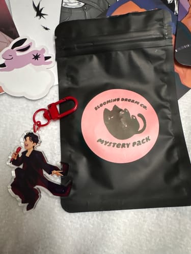 Customer photo review of Mystery Merch Pack