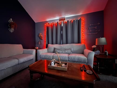 Customer photo review of Pet Proof Velvet Loveseat Cover - Non-Slip, Soft Plush