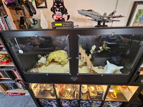 Customer photo review of XT4 BIO24 (48Lx24Dx24H) - STACKABLE