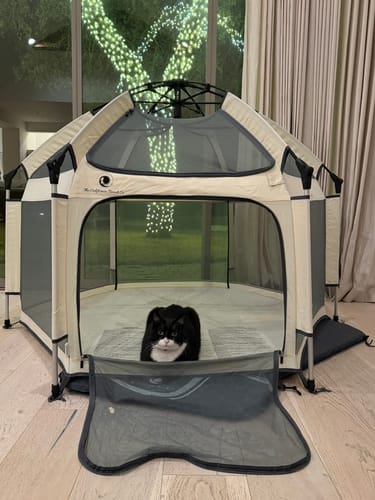 Customer photo review of Pop 'N Go® Playpen