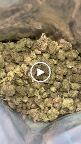 Customer video review of Bulk THCA Smalls