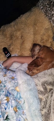 Customer and a dog relaxing together with the soft, floral Daisy Baby Blanket and other plush blankets.