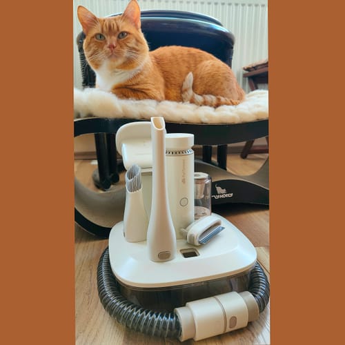 Customer photo review of Wireless Vacuum For Pet