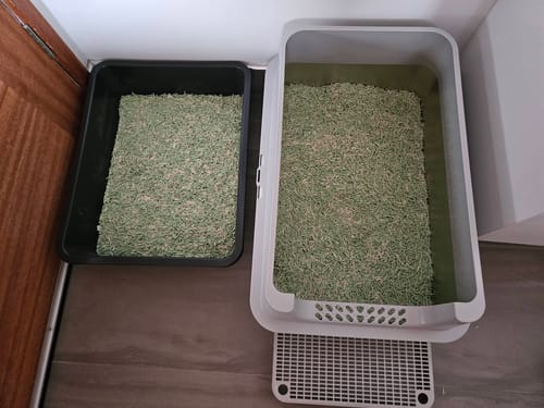 Customer's large stainless steel litter box on the right, shown for size comparison next to a smaller litter box on the left.