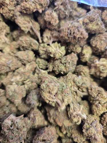 Customer photo review of Dank Carnival Non-Detect Magic Mushrooms