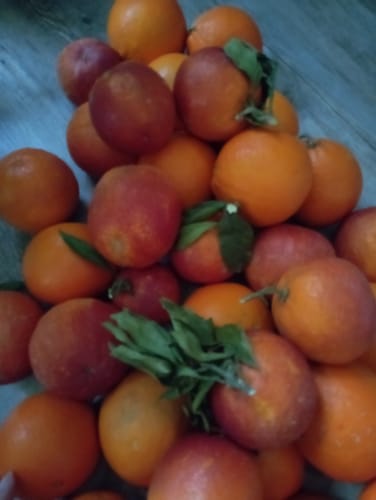 Kundenbewertung zeigt einen Haufen frischer Bio Navel Orangen und Blutorangen mit Blättern.