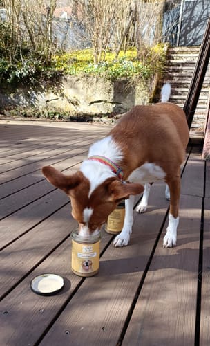 Customer photo review of OH MY DOG! Huhn