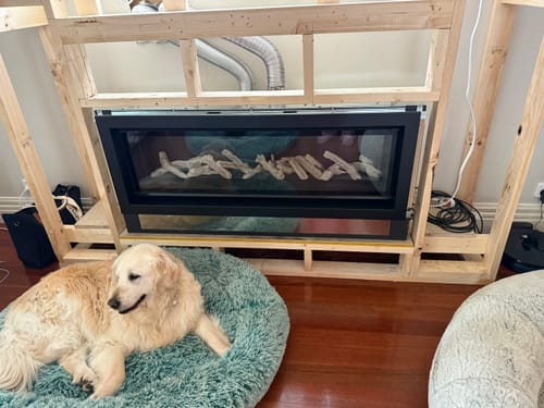 Customer's golden retriever resting in a fluffy teal Calming Pet Bed next to an unfinished fireplace.