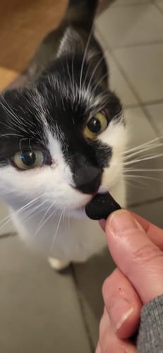 Customer photo review of Patsli® Belly