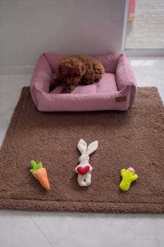 Customer photo review of Basic Orthopedic Pet Bed - Pink Velour