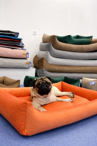 Customer photo review of Basic Orthopedic Pet Bed - Orange Velour