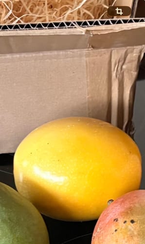 Ein Kunde zeigt eine pralle, gelbe Maracuja direkt nach der Ankunft.