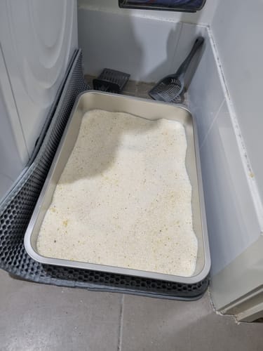 Customer photo review of 1 Month Supply – 1 Cat