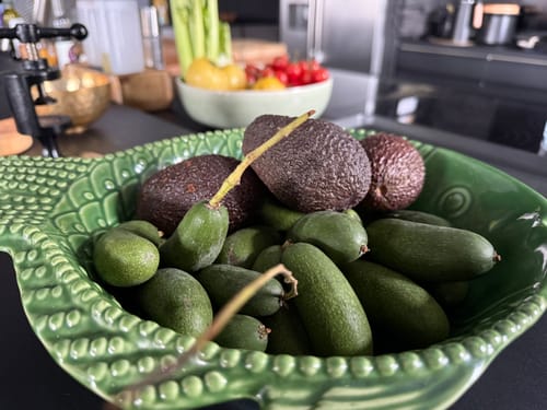 Rezensent zeigt kleine Cocktail-Avocados und normale Avocados in einer dekorativen grünen Schale.