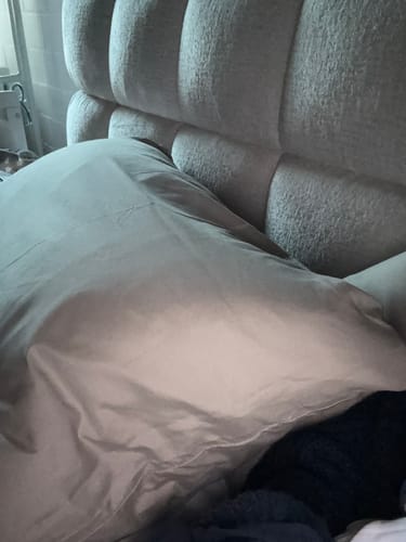 Customer photo review of 3-Kammern Daunenkissen