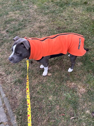 Customer photo review of Dog Fleece With Zip - Orange
