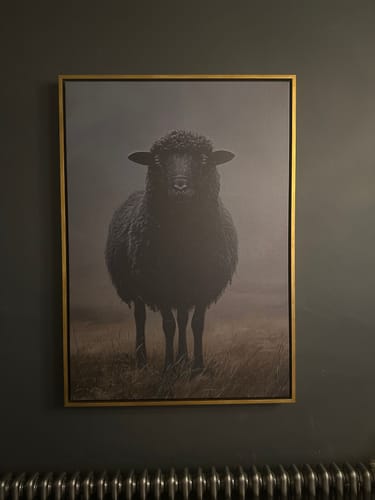 Customer photo review of Black Sheep Print